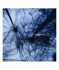 Stones Throw Joe McDuphrey - Experience, 12" Vinyl