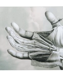 Alpha Pup Records Free The Robots - CTRL ALT DEL CD