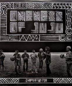 Now Again Oneness Of Juju - Chapter Two: Nia, LP Vinyl