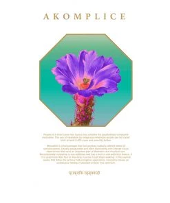 Akomplice - Shamanic Journey Men's Hoodie, Black