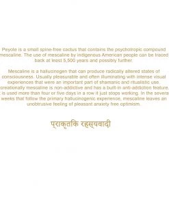 Akomplice - Shamanic Journey Men's Hoodie, Black