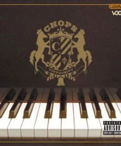 Good Vibe Recordings Chops - Virtuosity, CD $10 Items