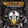 Shaman Work $10 Items Wale Oyejide - Africa Hot! The Afrofuture Sessions, CD