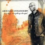 Shaman Work Wale Oyejide (aka Science Fiction)- One Day... Everything Changed, CD Music